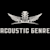 Acoustic G