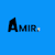 Amir M