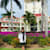 Dr Smiti P