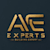Arc Expert