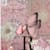 Rumana