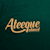 Ateeque Ahmed