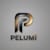 Pelumi A