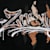 Zummy H.