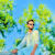 Muhammad Z
