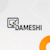 Dameshi