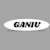 Ganiu A