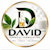 David
