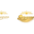 soy