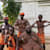 Alex African 