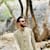 Mostafa Sarwari