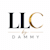 LLC by dammy