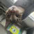 Chris