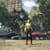 Ash Dev