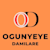 OGUNYE DAMILARE