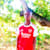 Francis