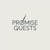 Promise Q