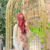 Wisha Khalid