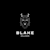 Blake W