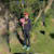 richardfarkas_