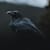 Raven