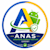 Anas