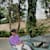 Dhanik K