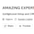 AMAZING EXPERT
