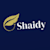 Shaidy A