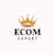TheEcomExpert