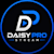 Daisy p