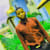 Agboola Q