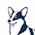 Dachs C