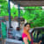 Suvarnakesana