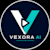 Vexora AI