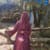 Sidratul Muntah