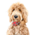 Custommu