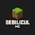 Sebilicul