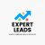 Expert Leads