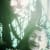 Momna Dar