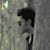 Md Samiul Islam
