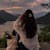 Maria Waseem