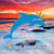 King Dolphin