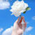 Samreen M