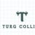 Turg collins
