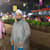 Mizan Shaikh