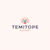 Temitope Sanmi