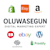 Oluwasegun T