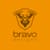 Bravo Designs