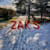 Zak S.